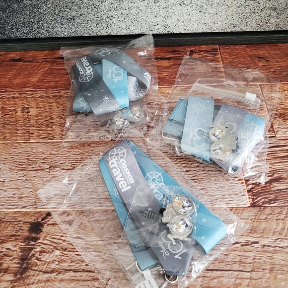 Donald & Daisy Duck 2023 Disney 100th Anniversary Costco Travel Disney Pin NWT - Picture 6 of 6